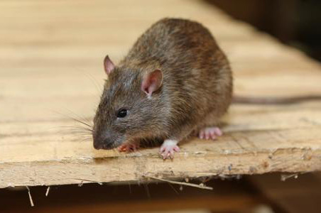 570458b58bf864d462df55741acf98e8_20200805161216_44552.jpg 570458b58bf864d462df55741acf98e8_20200805161216_44552.jpg